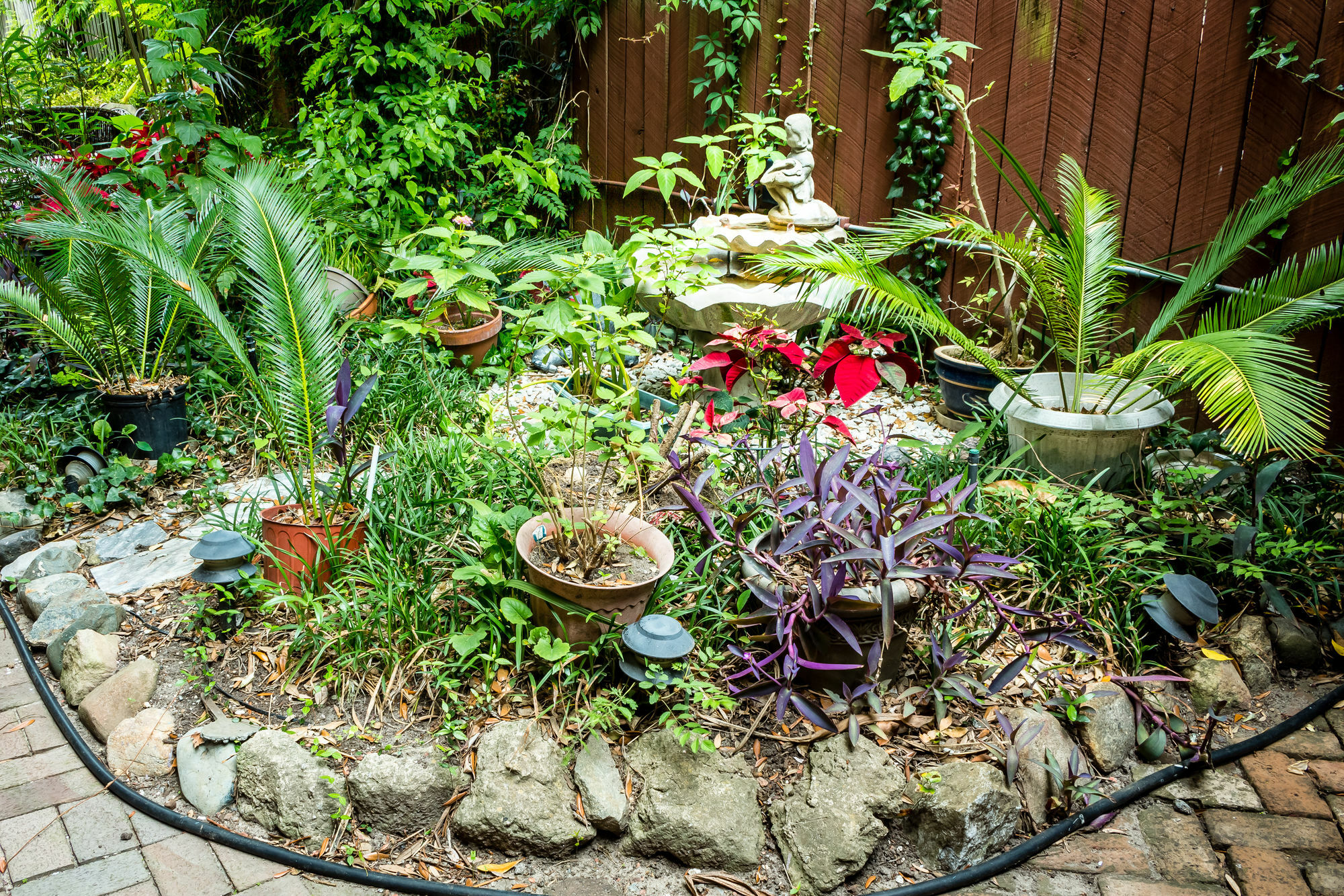 サバンナ Amethyst Garden Bed & Breakfast エクステリア 写真